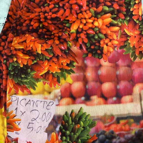 Zara Picante All Over Print Over The Shoulder Tulle Dress M - Picture 9 of 14